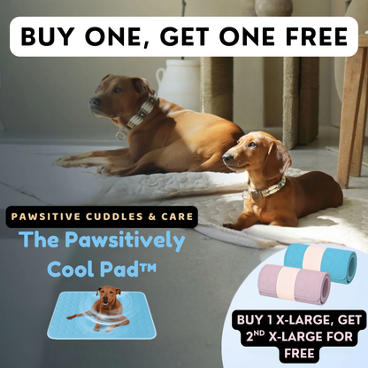 The Pawsitively Cool Pad™